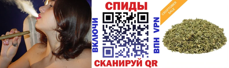 Бутират буратино  Купить  Псков 